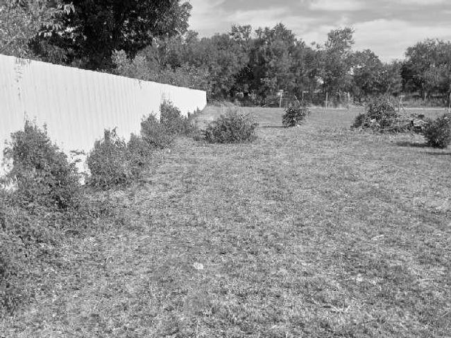 View of yard | Image 4