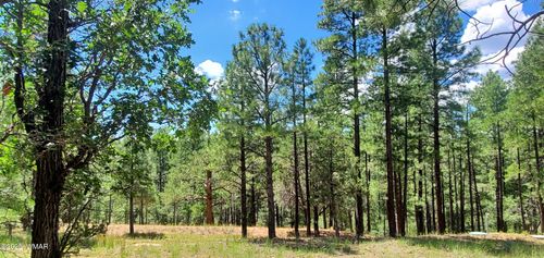 2526 Well Water Rd, Happy Jack, AZ, 86024 | Card Image