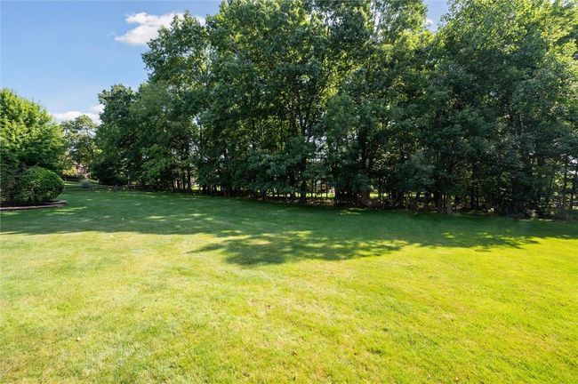 huge , flat backyard | Image 46