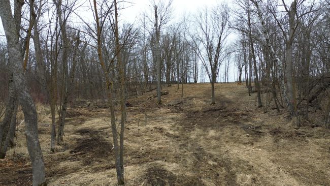 39 Sandy Ln, Home with 0 bedrooms, 0 bathrooms and null parking in Perham MN | Image 12