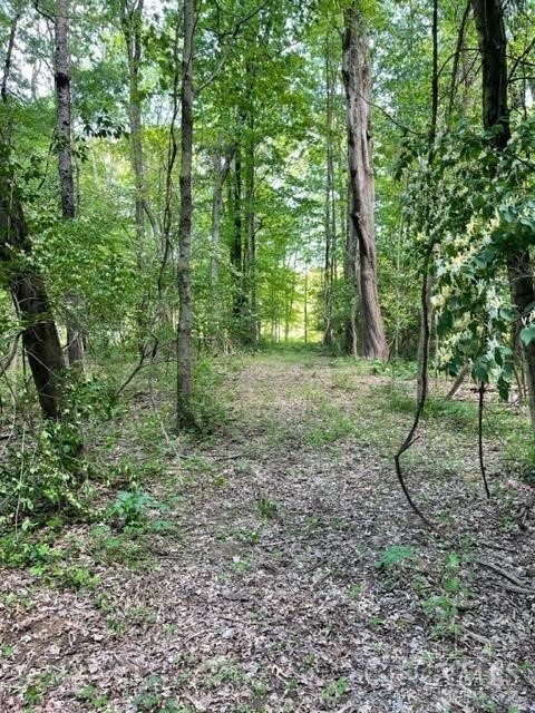 Land in Bethel Twp 3