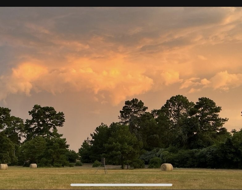 Land in Centerville 3