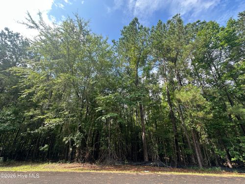 B15 L26 Blair Ln, Mc Cormick, SC, 29835 | Card Image