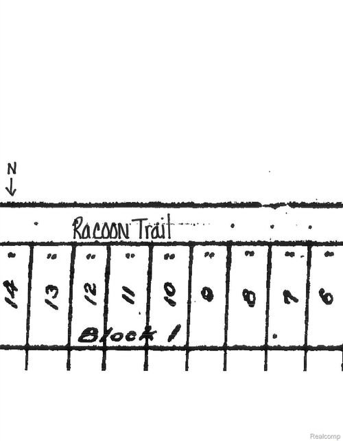 0 N Racoon Trl, Lincoln, MI, 48742 | Card Image