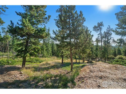 231 Granite Dr, Drake, CO, 80515 | Card Image