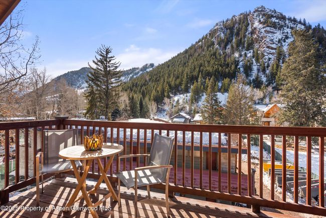 B202 - 503 W Main St, Condo with 3 bedrooms, 3 bathrooms and 1 parking in Aspen CO | Image 5