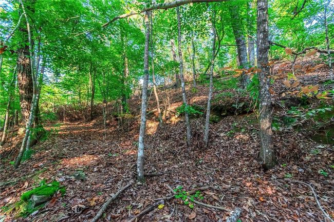 50 Jakes Landing Way S, Home with 0 bedrooms, 0 bathrooms and null parking in Ellijay GA | Image 25