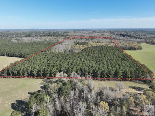 TBD Easement Rd., Linden, TX, 75563 | Card Image