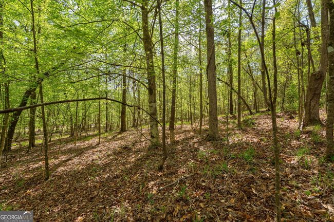 0 Skull Shoals Rd, Home with 0 bedrooms, 0 bathrooms and null parking in Washington GA | Image 14