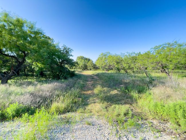 View of local wilderness | Image 14
