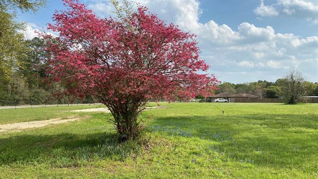 7964 State Highway 146 S, House other with 2 bedrooms, 1 bathrooms and 6 parking in Livingston TX | Image 7