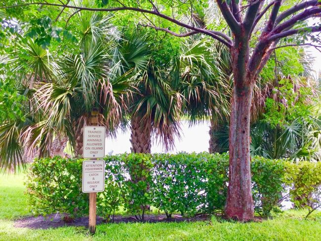 107 Sheffield E, Condo with 1 bedrooms, 2 bathrooms and null parking in West Palm Beach FL | Image 71