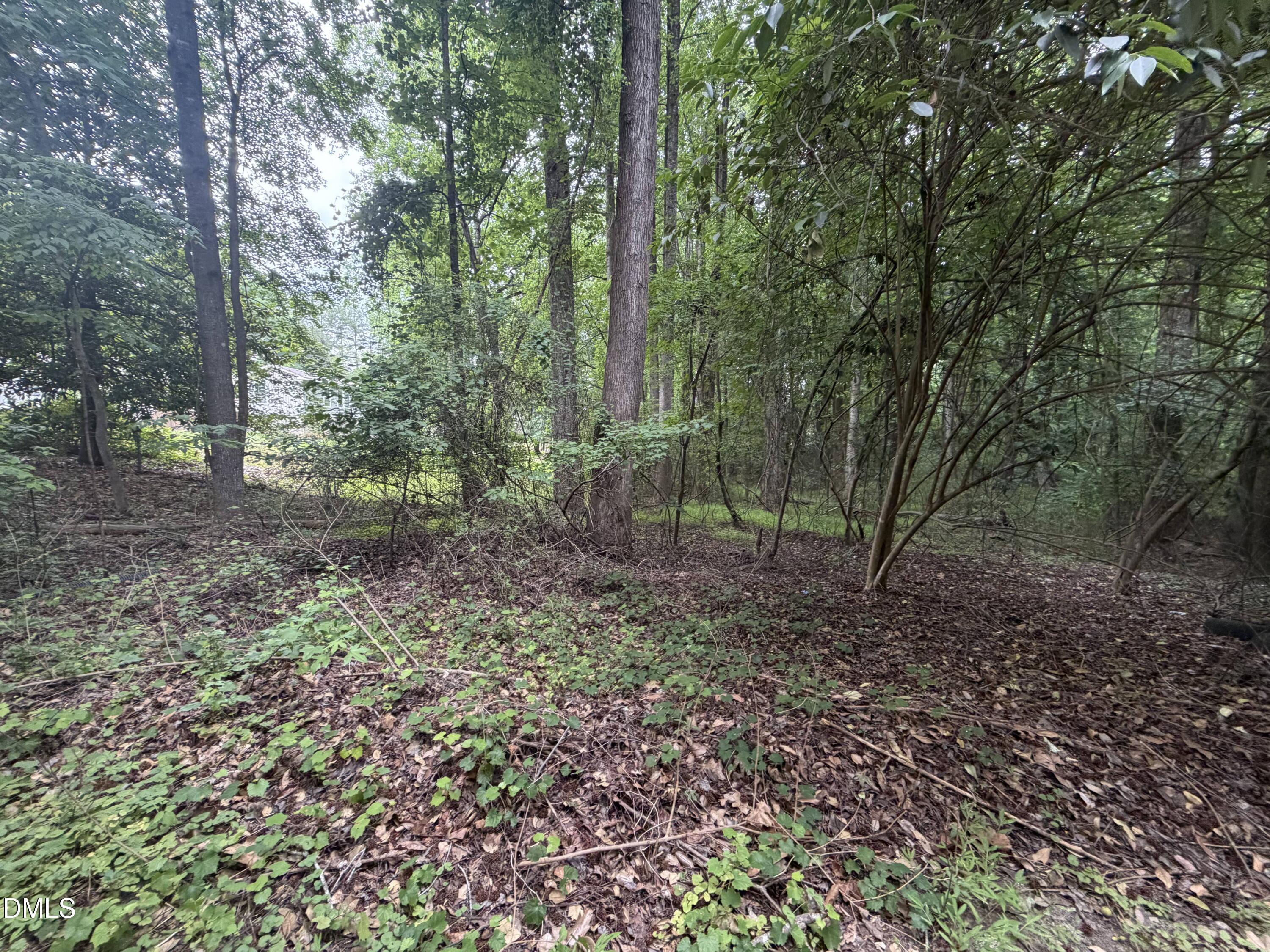 Land in Holly Springs 2
