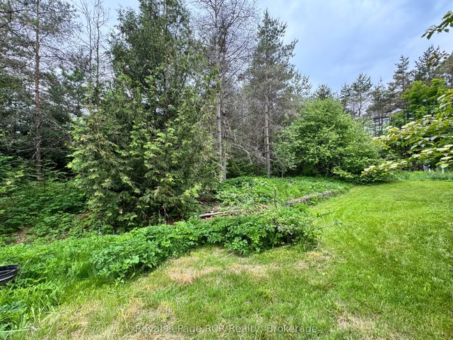 585250 Sideroad 10 A, House other with 2 bedrooms, 1 bathrooms and 4 parking in Municipality Of Grey Highlands ON | Image 16