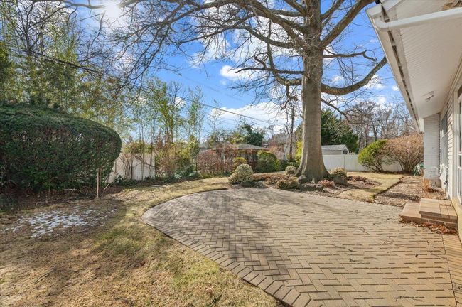View of yard with a patio | Image 16
