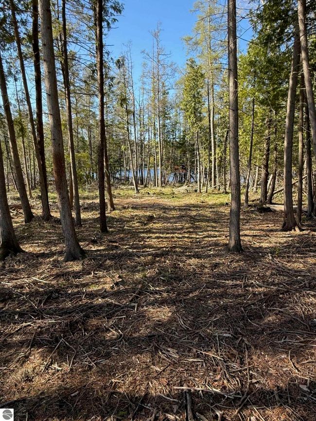 000 Clam Lake Dr, Home with 0 bedrooms, 0 bathrooms and null parking in Bellaire MI | Image 8