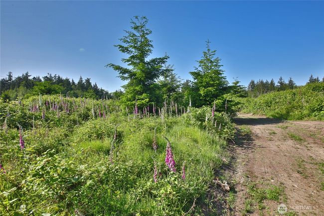 2062 Goodell Rd, Home with 0 bedrooms, 0 bathrooms and null parking in Freeland WA | Image 14
