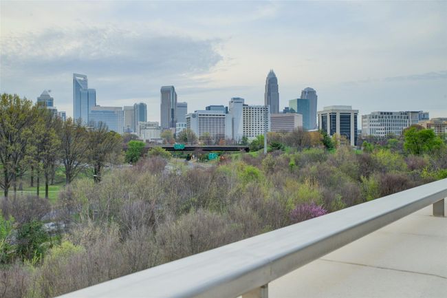 View from Roof Top Deck for Residents | Image 7