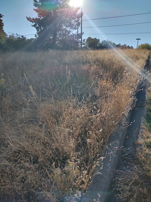 NKA Shelley St, Klamath Falls, OR, 97601 | Card Image