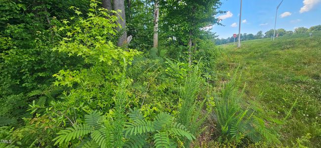 20240613_150415 | Image 6