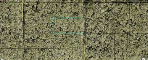 21-10-28-2775-00050-0177 Ruth Avenue, Hastings, FL, 32145 | Card Image