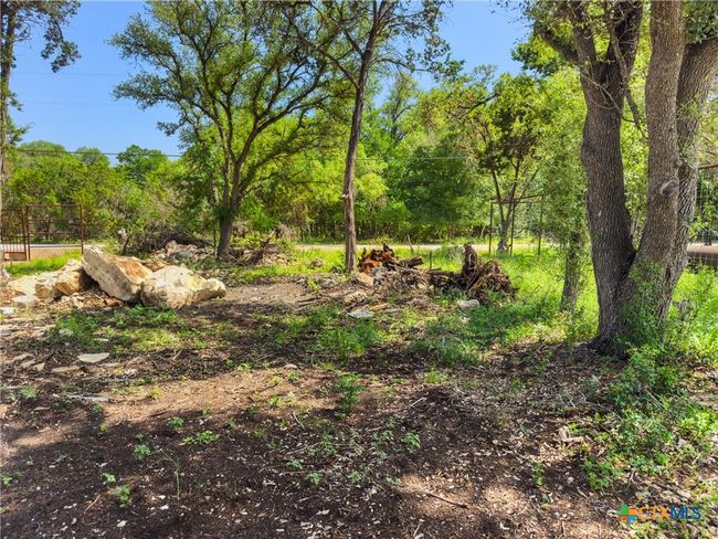 211 Rip Ford Rd, Home with 0 bedrooms, 0 bathrooms and null parking in Spring Branch TX | Image 5