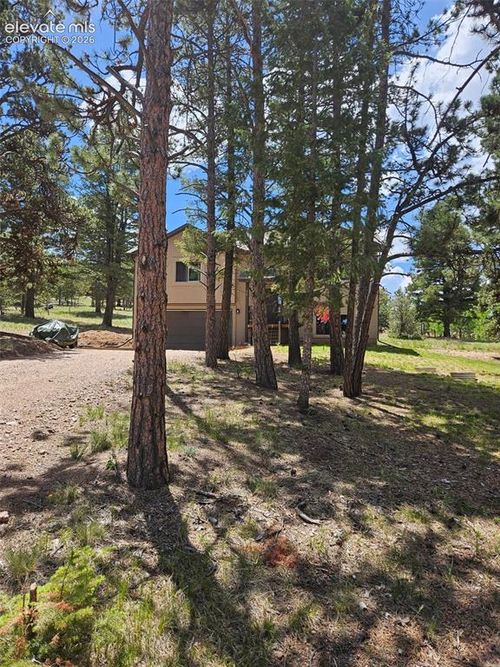 24 Big Horn Cir, Florissant, CO, 80816-8829 | Card Image