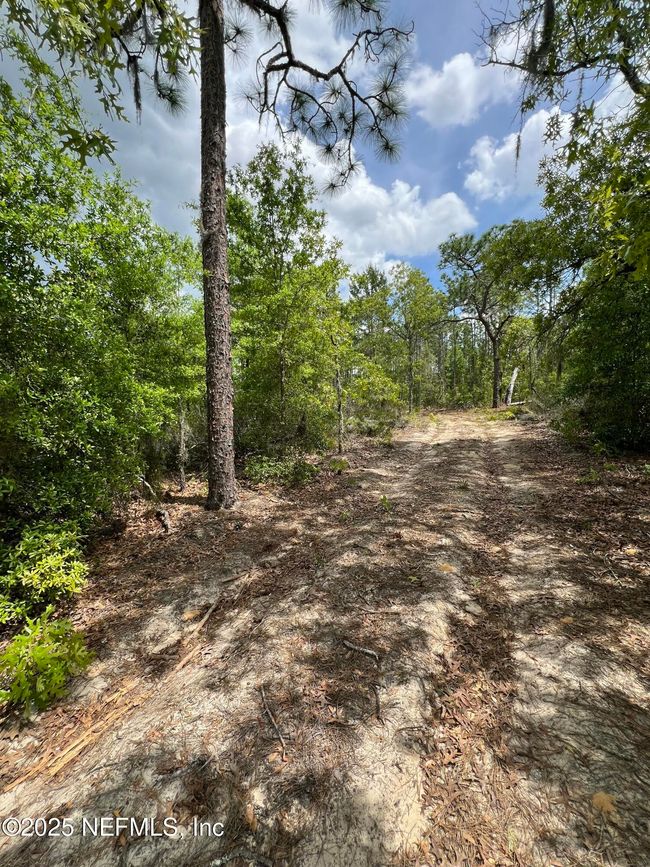 110 Slipper Way, Home with 0 bedrooms, 0 bathrooms and null parking in HAWTHORNE FL | Image 4