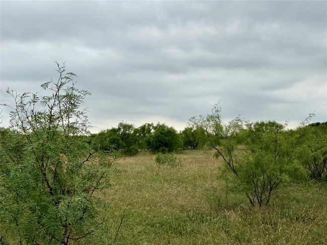 0000 Turtle Hole Rd, Home with 0 bedrooms, 0 bathrooms and null parking in Graham TX | Image 23