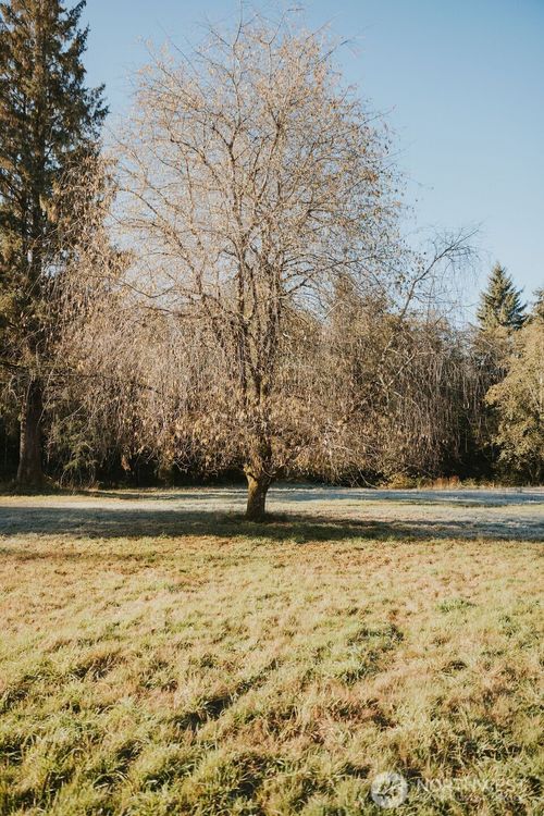 170 Sportsman Club Rd, Forks, WA, 98331-9186 | Card Image