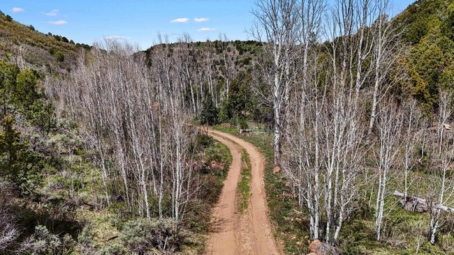 7465 Uncompahgre Divide Rd, Home with 3 bedrooms, 1 bathrooms and null parking in Whitewater CO | Image 32