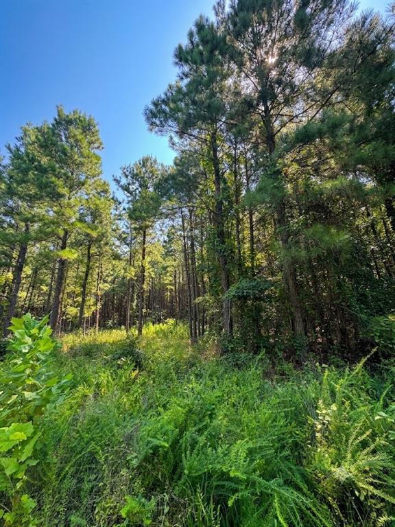 Land in Broken Bow