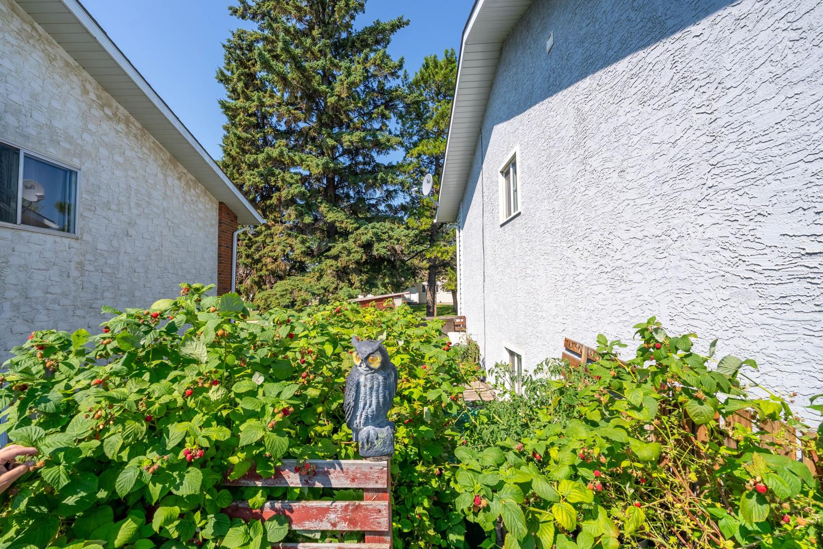 Residential Income in Wetaskiwin 3