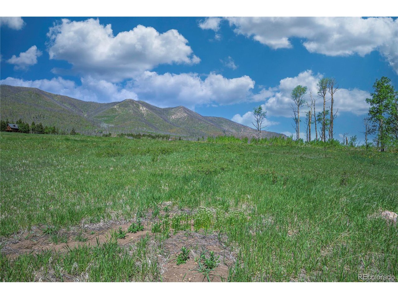 Land in La Veta 4