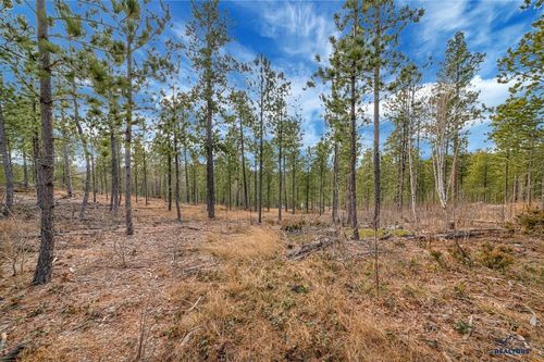 TBD Loft Pines Ct, Lead, SD, 57754 | Card Image