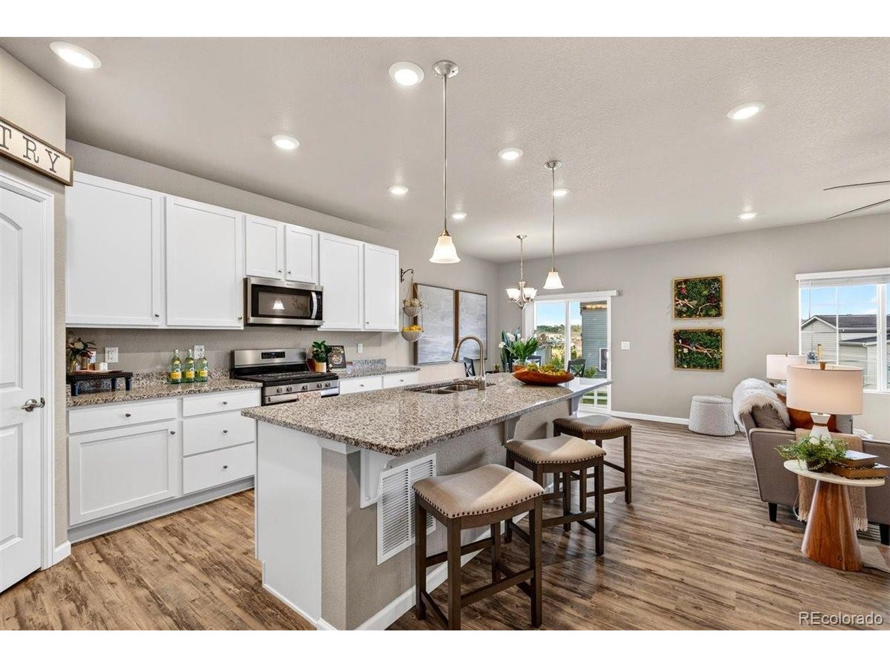 Residential in Castle Rock 3