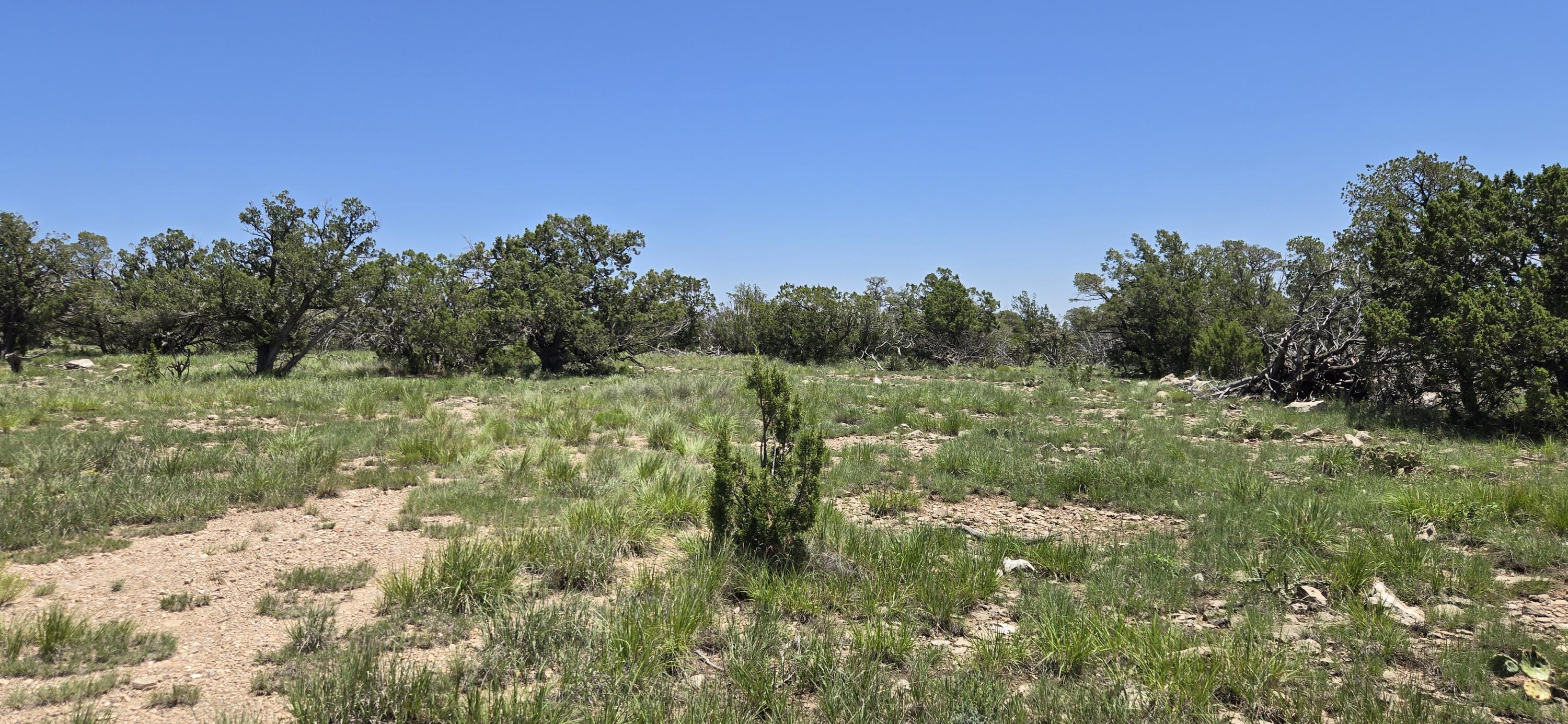 Land in Corona 3