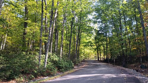 0 Oakcrest Ln, NELLYSFORD, VA, 22958 | Card Image