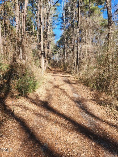 174 Solomon Worley Dr, Moncure, NC, 27559 | Card Image