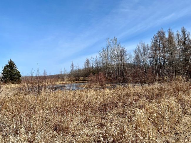 Pond on north side of property | Image 47