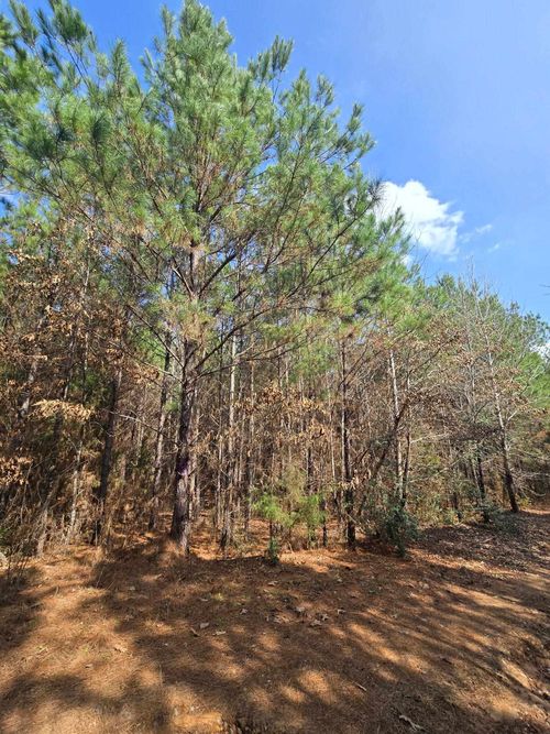 TBD Country Road Dr, Henderson, TX, 75652 | Card Image