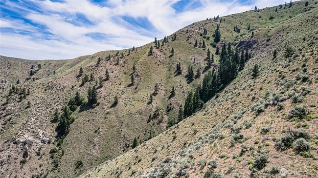 0 Number 2 Canyon Rd, Home with 0 bedrooms, 0 bathrooms and null parking in Wenatchee WA | Image 25