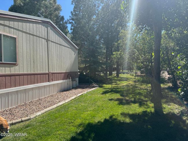 28 North Side Summer | Image 28