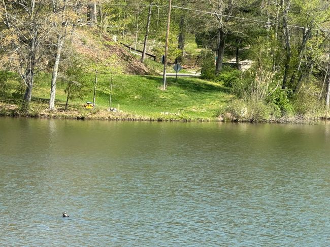 Around the lake! | Image 24
