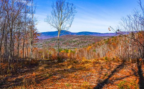Lot 4 Mine Road, Stoneham, ME, 04231 | Card Image