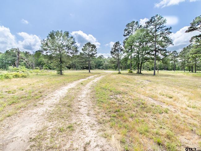3126 Shadow Pine Dr, Home with 0 bedrooms, 0 bathrooms and null parking in LaRue TX | Image 8