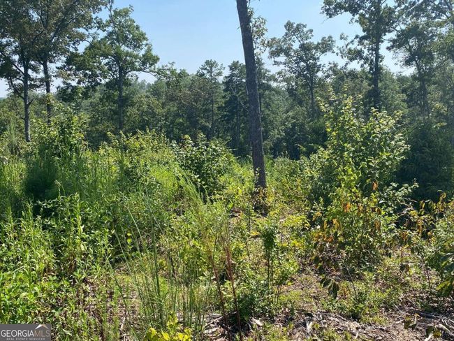 0 Woodstone Trail, Home with 0 bedrooms, 0 bathrooms and null parking in Ellijay GA | Image 8