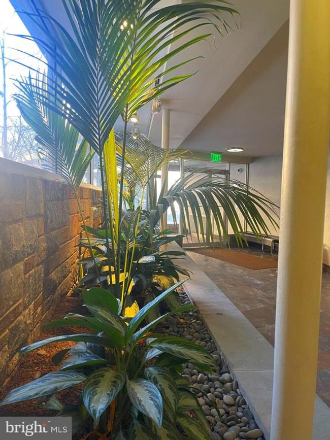 APT-1016 - 4740 Connecticut Ave Nw, Condo with 2 bedrooms, 2 bathrooms and null parking in WASHINGTON DC | Image 23