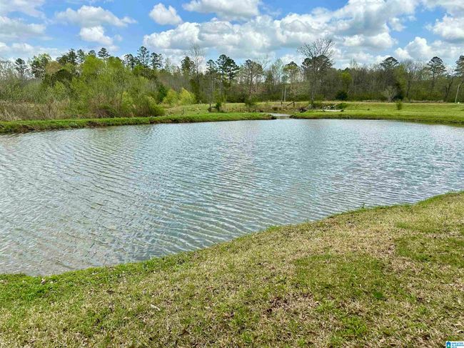 12325 Us Highway 411 N, House other with 3 bedrooms, 3 bathrooms and null parking in Centre AL | Image 53