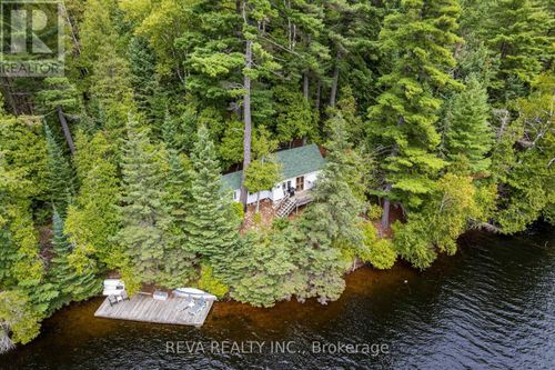156 Ponacka Road, Hastings Highlands (Herschel Ward), ON, K0L1C0 | Card Image